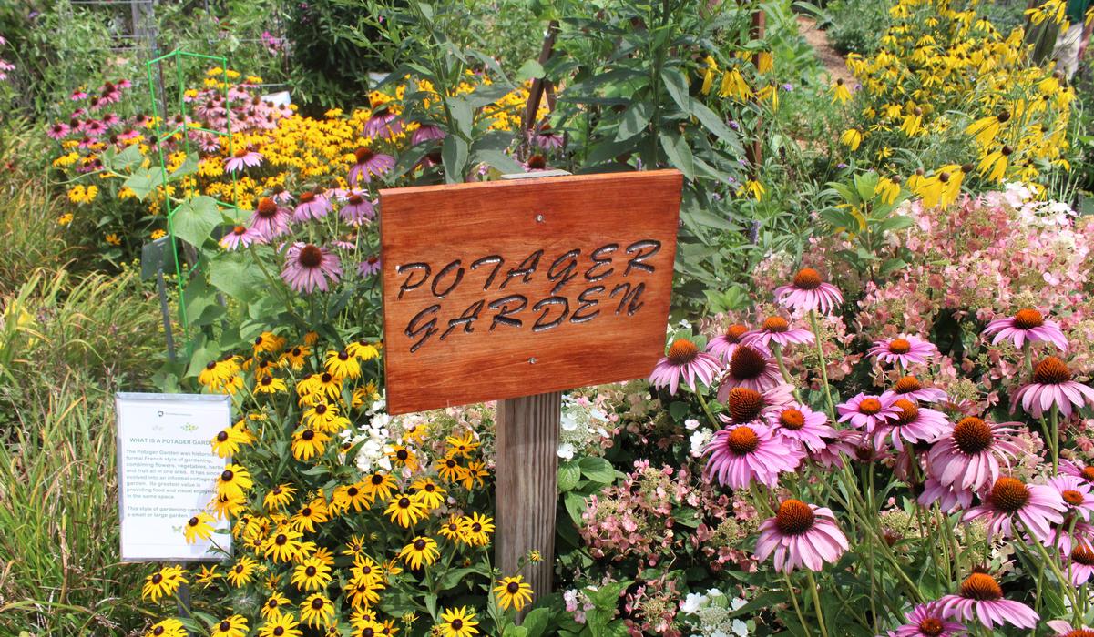 Penn State Flower Trials Idea Gardens