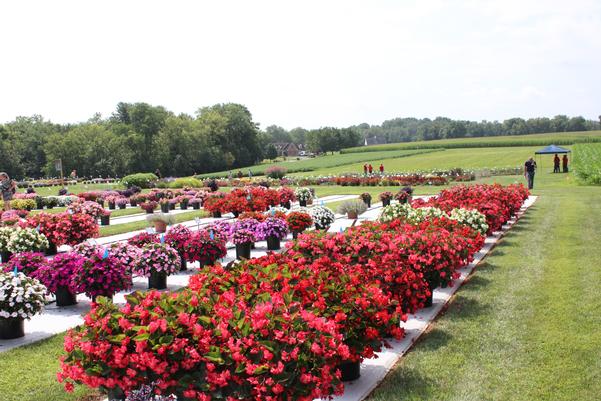 Visited the Flower Trails for Market Research