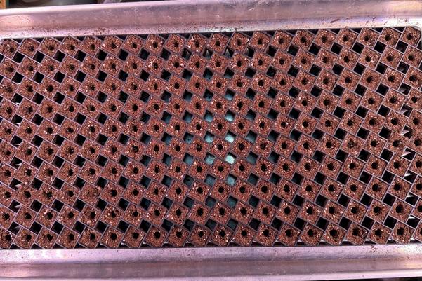 Seed Starting and Potting Mix Recipes