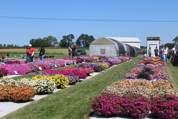 2026 Penn State Flower Trials Field Day
